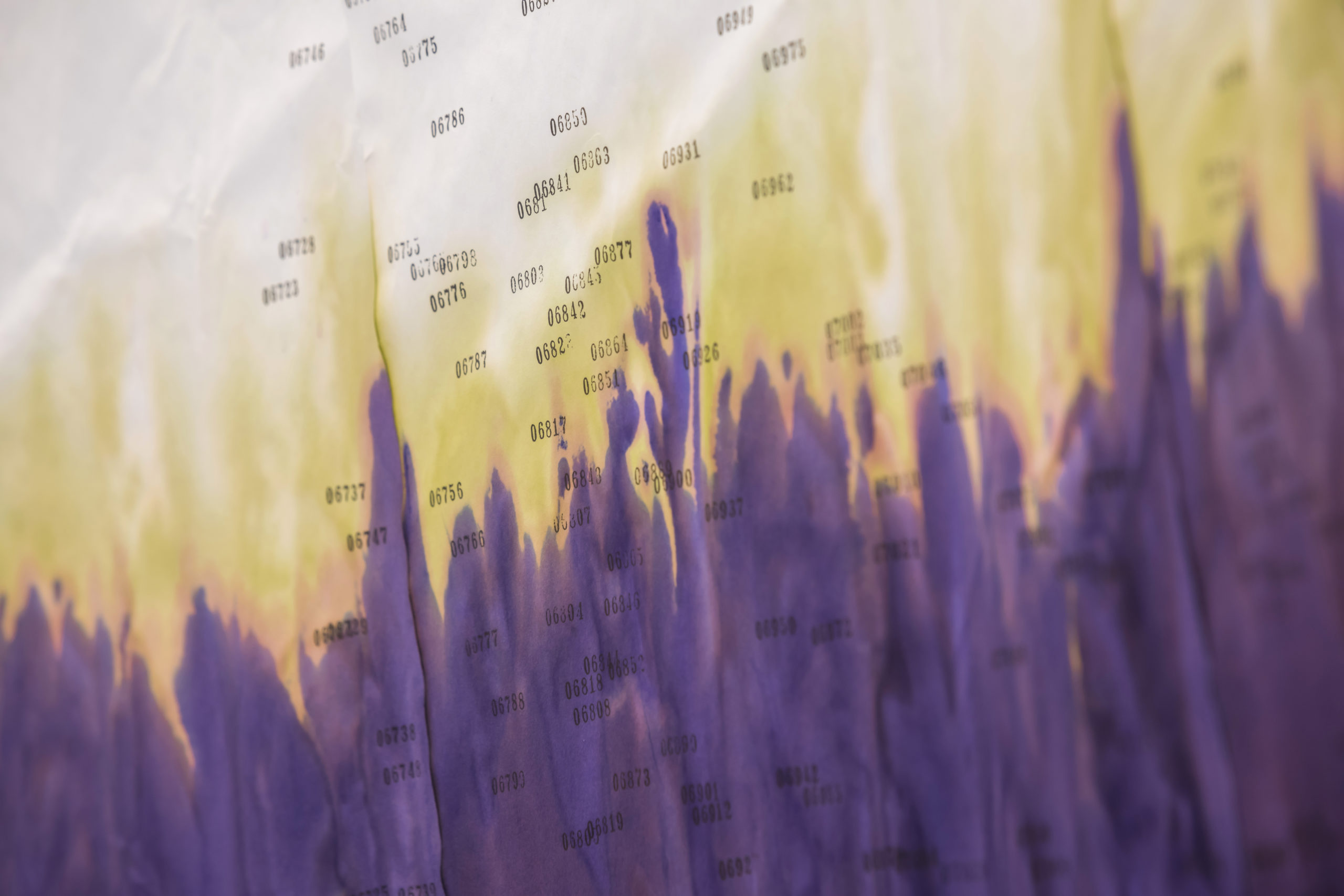 雨だれにひそむ、　2024