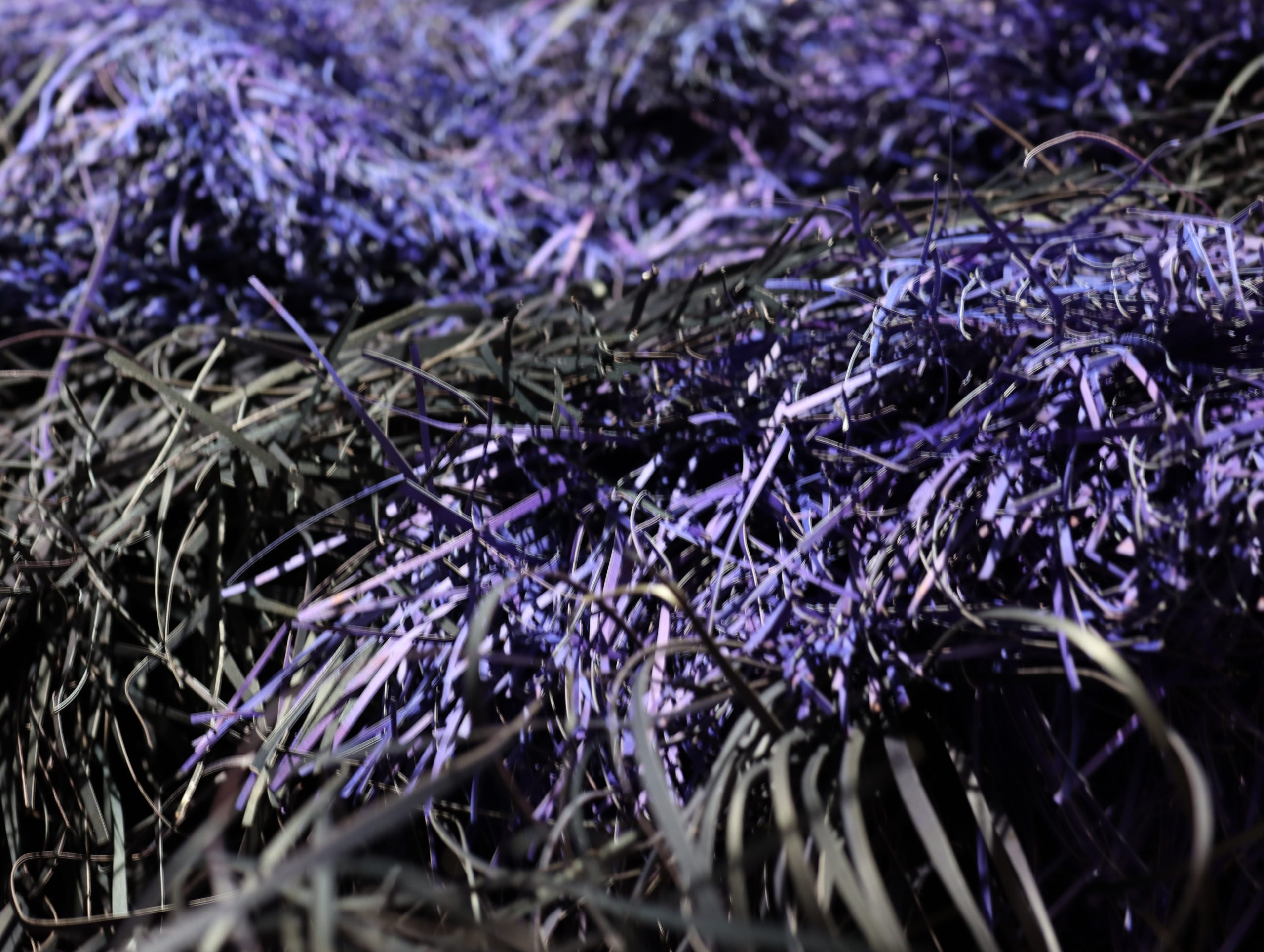 たむけられた沈黙　2024